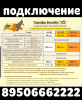 IMG_20190326_092521_.png