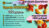 Для заказа @samtimon.png