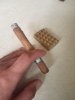 IMG_20190917_073055_863.jpg