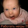 spiceWeege