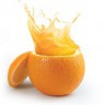 AlimaKef