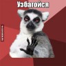 MosesCof