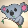 CAMOKAT123